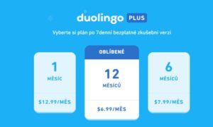 duolingo premium cost